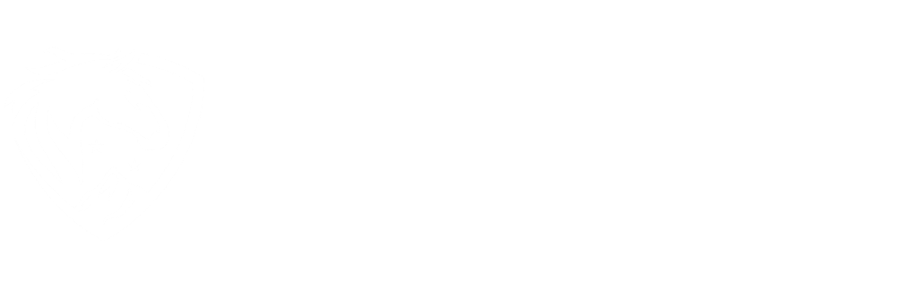 Tower Hill Corp